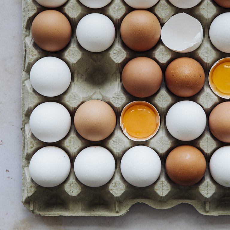 Schweizer Freilandeier